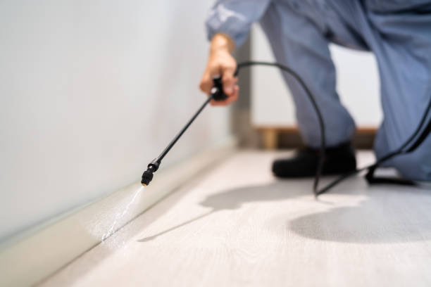 Licensed Pest Control service in Fitchburg, MA - Show Me Pest Control