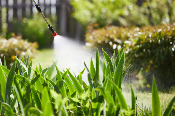 24/7 Emergency Mosquito Control experts in Fitchburg, MA