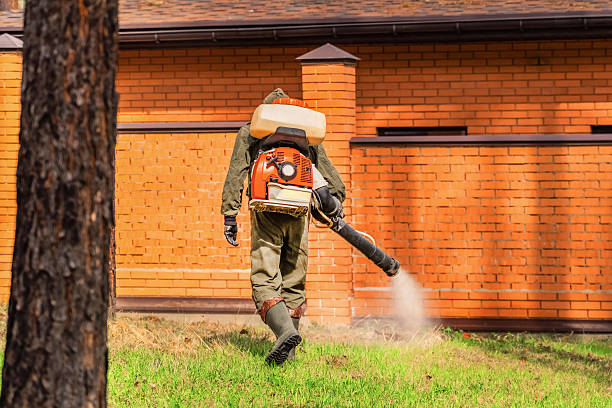 Top rated local Mosquito Control specialists in Fitchburg, MA